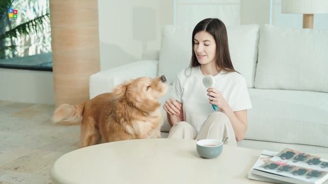 Top 10: Best Dog Grooming Vacuum Kits in 2023 / Pet Hair Clipper, Pet Hair Suction, Cat Grooming Ki смотреть онлайн