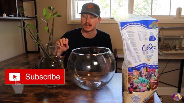 Easy and Simple Mangrove Grow Out! смотреть онлайн