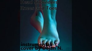 Dejan Nikolovski - Head Shoulders Knees and Toes Instrumental Cover (2023)