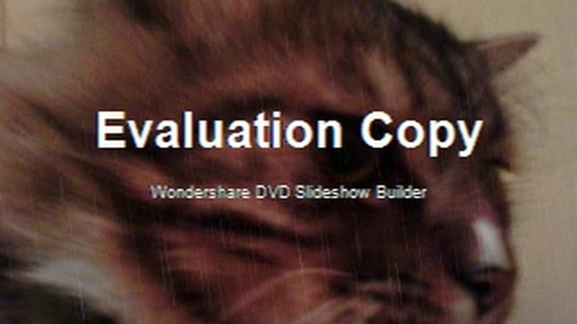 DJ Ananas - Music Музыка (Песня собственного сочинения) смотреть онлайн