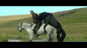 О лошадях и людях (Hross í oss) - Русский трейлер 1 (HD)