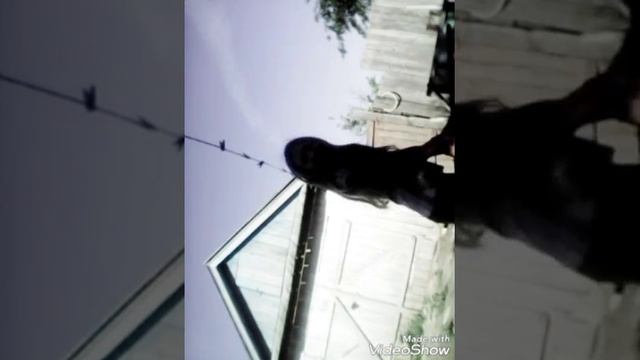 Что можно делать в деревне на улице смотреть онлайн