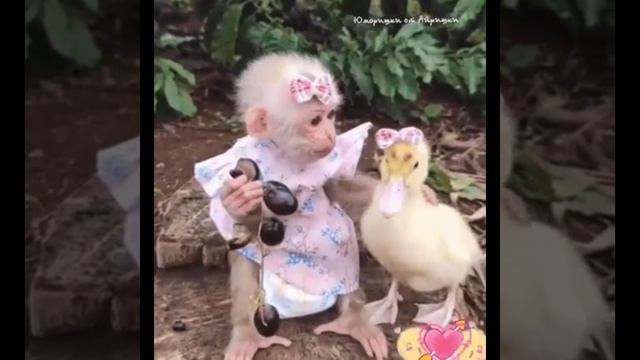 полюби меня такой смотреть онлайн