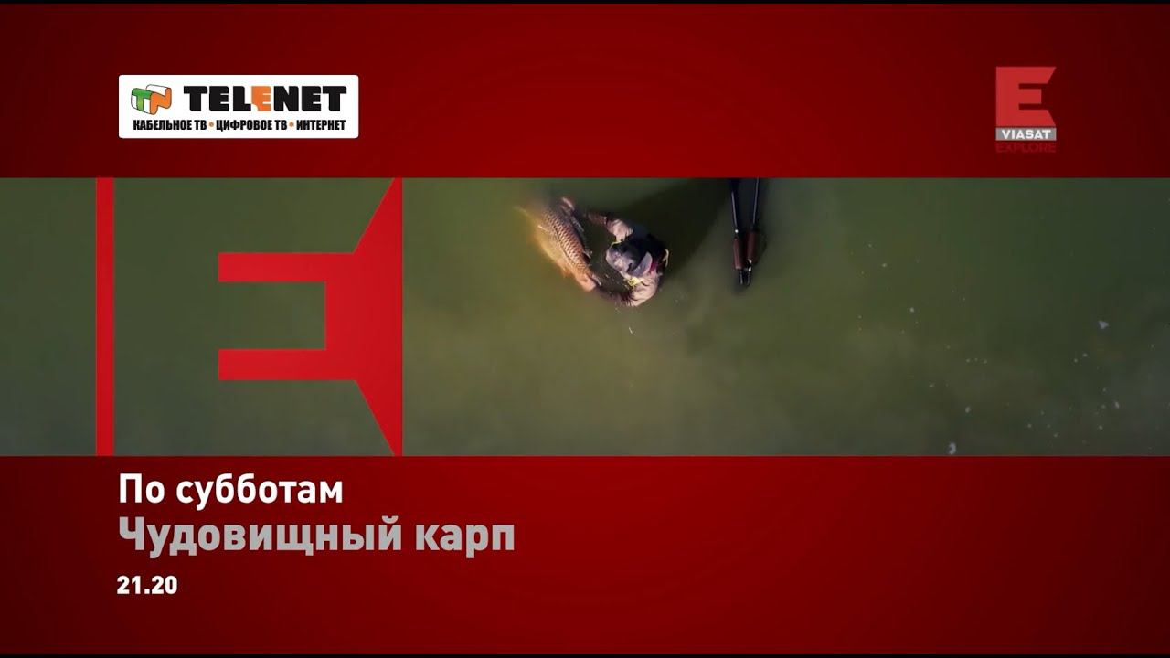 Смотрите в сети TELENET по субботам с 4 апреля в 2220 на Viasat Explore Чудовищный карп 12