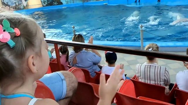 София плавает с дельфинами смотреть онлайн