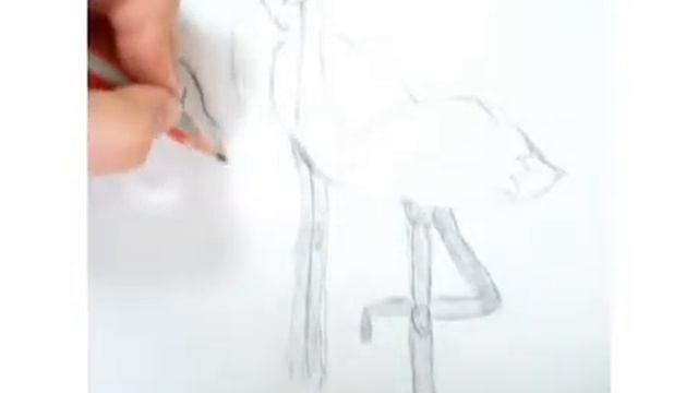 Как нарисовать фламинго. Видео урок как нарисовать фламинго.