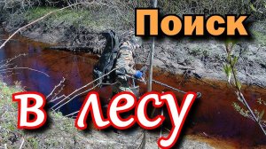 Поиск сокровищ в весеннем лесу