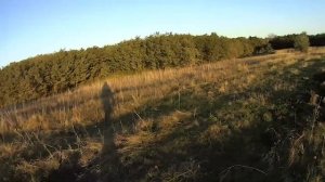 Охота на куропаток. Спаниель «УНА».