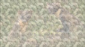 Куница. Рисунок поэтапно/Marten. Drawing in stages