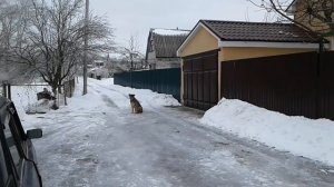 ПРИКЛЮЧЕНИЯ АЛЛЫ НА РЫБАЛКЕ!