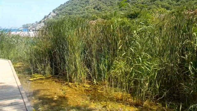 Анталия,Олимпос-Античный город?Аутфит в стиле античного Рима ? смотреть онлайн