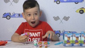СВИТ БОКС ЩЕНЯЧИЙ ПАТРУЛЬ/РАСПАКОВКА СЮРПРИЗОВ ДЛЯ ДЕТЕЙ/ SWEET BOX/PAW PATROL TOYS/ДАРИМ ПОВТОРКИ