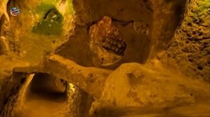 Свидетельства Древнего Контакта с Пришельцами Погребены в Глубинах Океанов