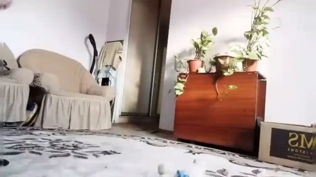 ТИПЫ ЛЮДЕЙ, КОГДА НЕТ ТЕЛЕФОНА смотреть онлайн