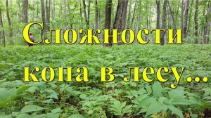 Сложности копа в лесу поздней весной и летом