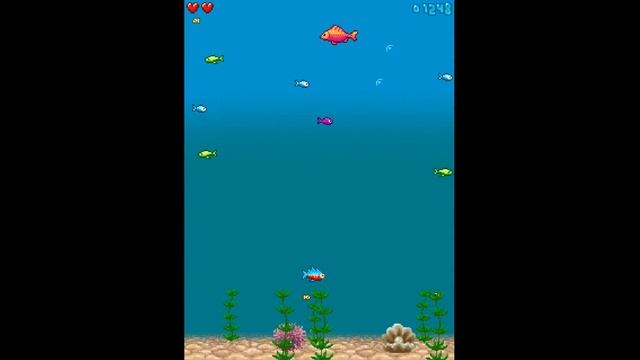 "Aqualife" JAVA GAME (Bogee 2005 year) смотреть онлайн