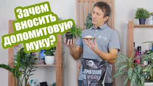 Доломитовая мука: 4 причины использовать ее для огорода!