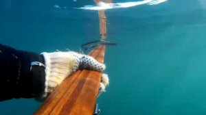 Пеламида Крым.