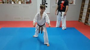 Удар ногой йоко гери.