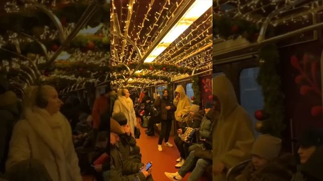 На Таганско-Краснопресненской линии поймали новенький новогодний поезд!