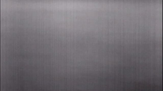 Zwei Bachen mit Frischlinge mit der Wärmebildkamera gefilmt смотреть онлайн