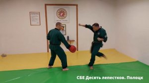 СБЕ Десять лепестков. Отдельные элементы техники и их объединение. Часть 2.