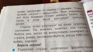 Физическая культура/1-4 кл/В.И.Лях/Сердце и кровеносные сосуды/07.01.22