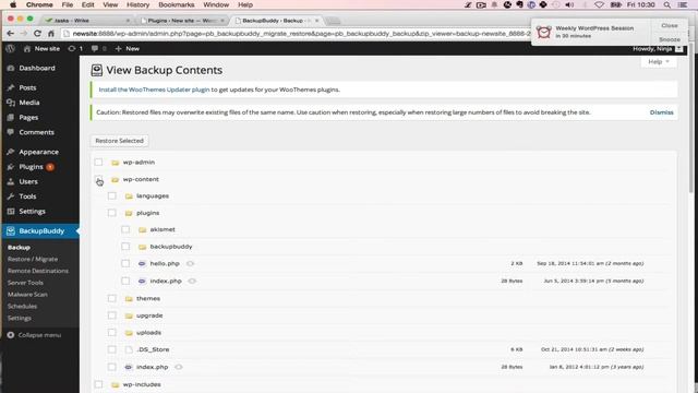 How to restore WordPress from a backup смотреть онлайн