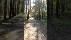 Перынский скит.Великий Новгород.