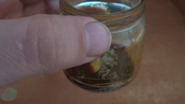 Чистка монет СССР смотреть онлайн