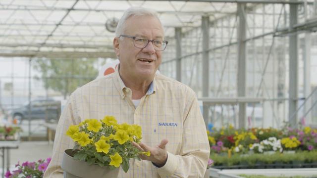 Supercal® Series Overview смотреть онлайн