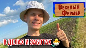 Вывод утят, гусят, цыплят Важные новости на Ферме! Выращивание бройлеров.Перепела.Жизнь в деревне