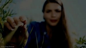 А КАЛИНА КРАСНАЯ 2