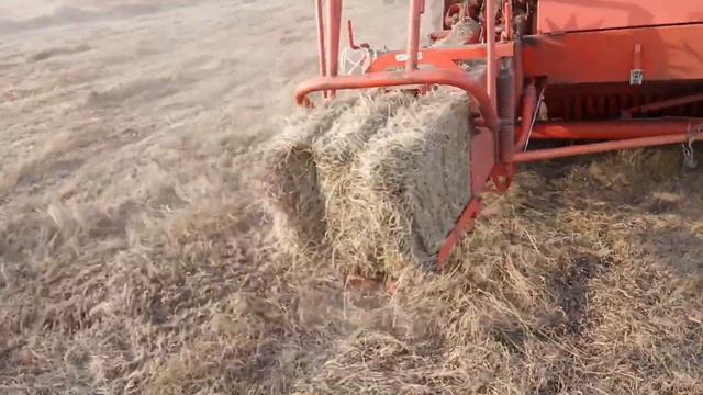 Прессую сено в октябре. Трактор ЮМЗ. смотреть онлайн