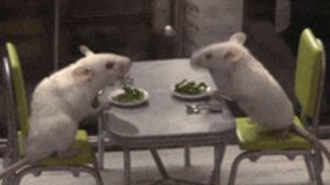 фв 002 Самый колючий день