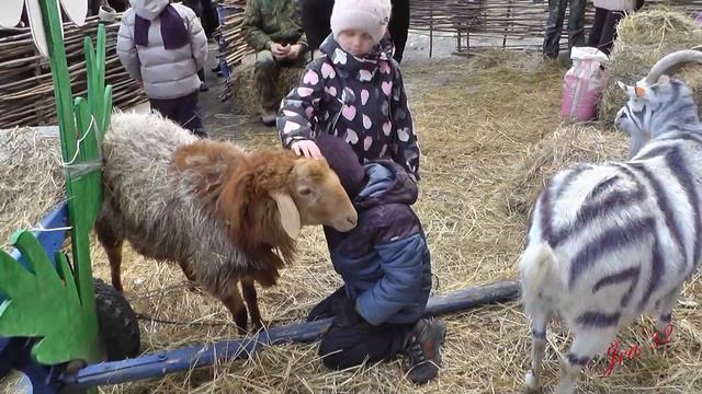 Масленица 2019