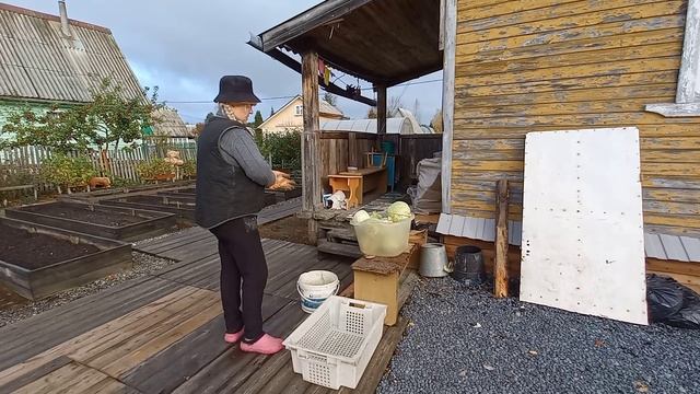 2/10 23 УБРАЛА КАПУСТУ. ГРЯДКИ К ВЕСНЕ ГОТОВЫ. ГУСИ ЛЕТЯТ. КУПАНИЕ В БОЧКЕ. НЕ В ТО МЕСТО ВСТАВИЛА. смотреть онлайн