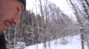 Как я срубил Ёлку в лесу на Новый 2021 год