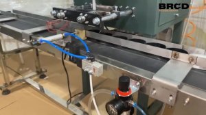 Snus packing Line. Линия для упаковки жевательного табака. Снюса.