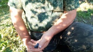 Голубика Чандлер (поздний сорт)