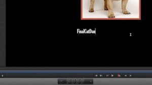 Motion 5 Основы / Motion 5 Getting Started Tutorial