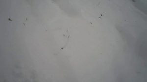 чистим снег покрышками.mp4