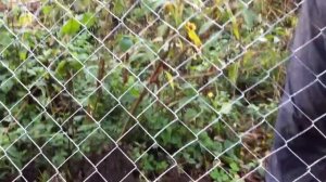 Разъединение сетки Рабицы