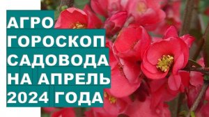 Агро гороскоп садовода на апрель 2024 года Gardener's agrohoroscope for April 2024