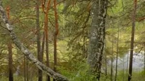 Русская Природа