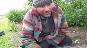 Высадка петунии.Наша цветочная клумба
