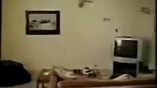 Летающий котик смотреть онлайн