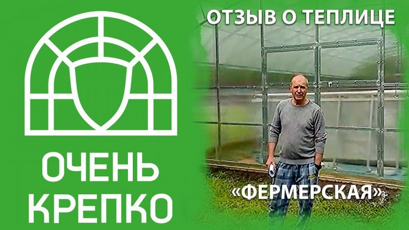 Отзыв о большой теплице