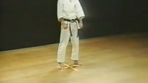Ката каратэ сетокан - Хэйан сандан