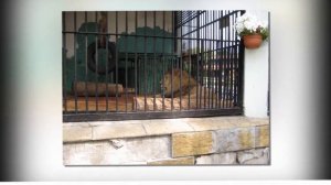 Поход в зопарк.